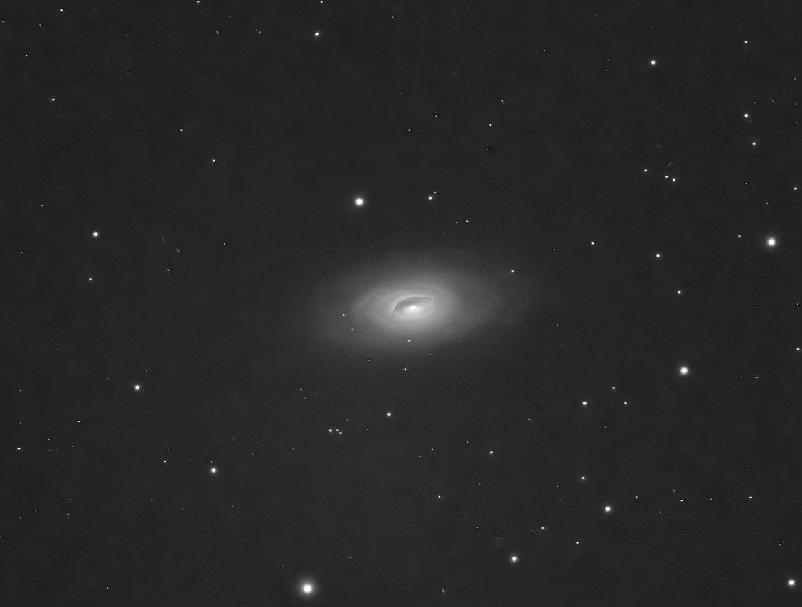 M64