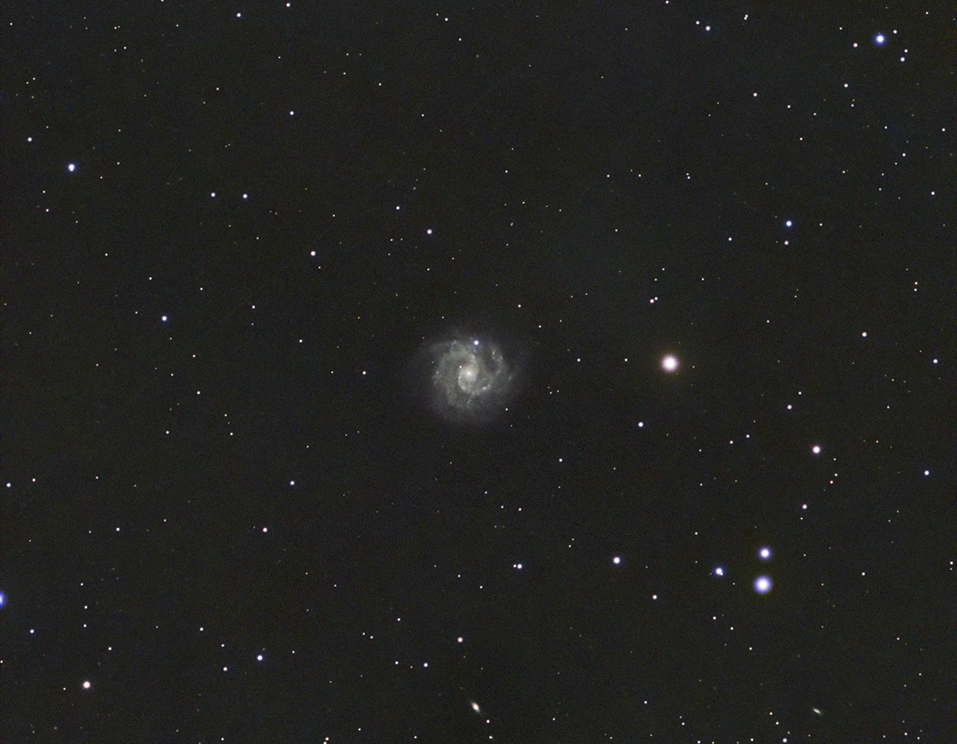 ngc3184